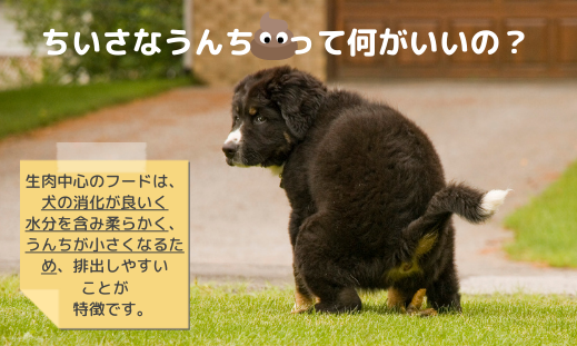 ちいさなうんちって何がいいの?