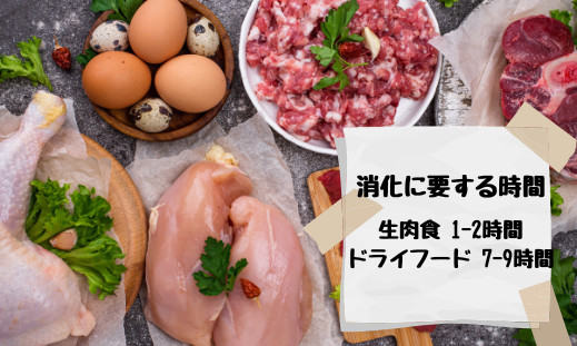 消化に要する時間 生肉食 1-2時間 ドライフード 7-9時間