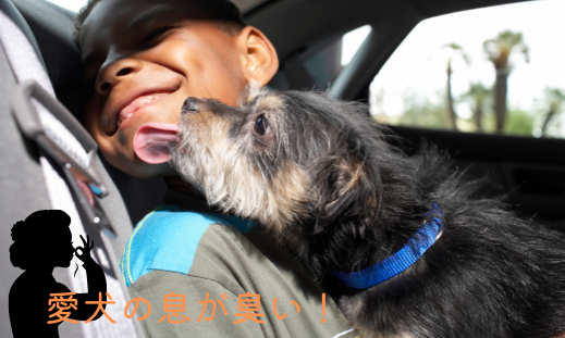 愛犬の息が臭い!