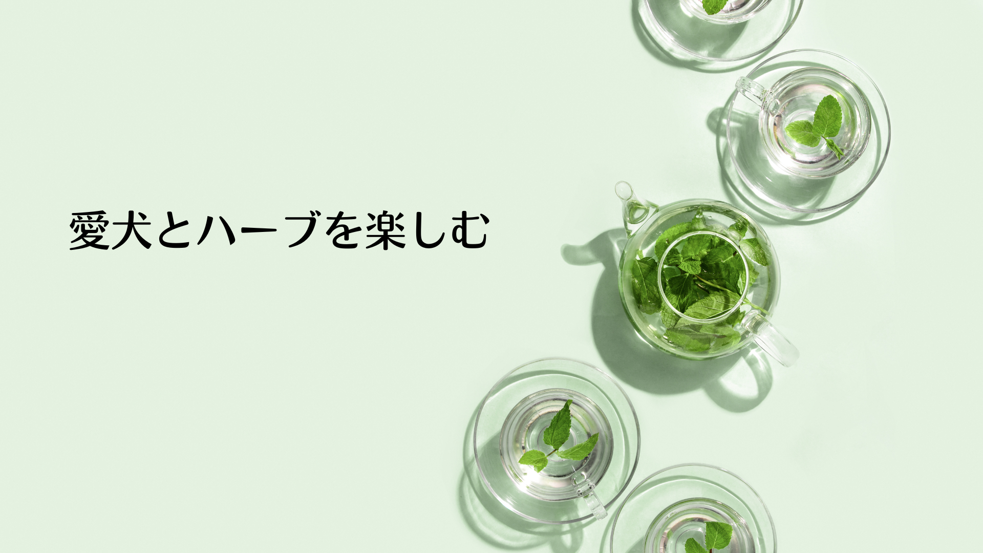 愛犬とハーブを楽しむ ミント編