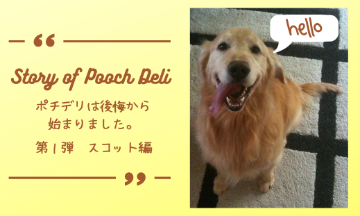 【ポチデリの想い】Story of Pooch Deli スコット編