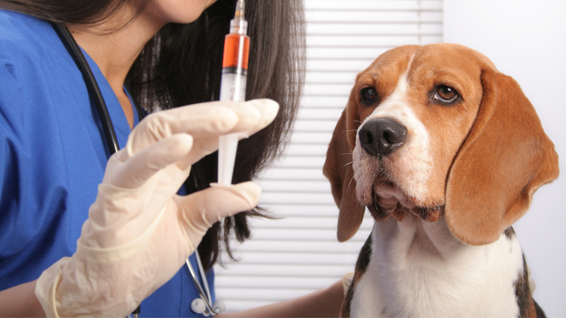 混合ワクチン 何種?