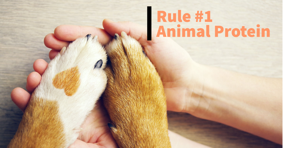 オルソン先生の教え Rule #1 ANIMAL PROTEIN
