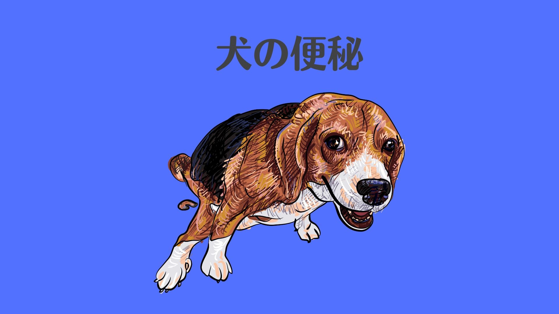 犬の便秘