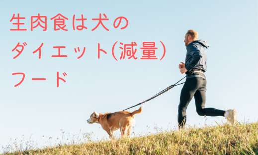 生肉食は犬の ダイエット(減量)フード