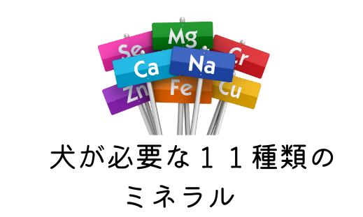 犬に必要なミネラル