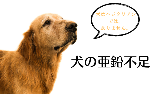 犬の亜鉛不足