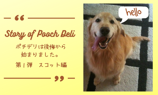 【ポチデリの想い】Story of Pooch Deli スコット編　