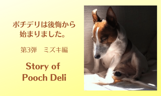 【ポチデリの想い】Story of Pooch Deli ミズキ編